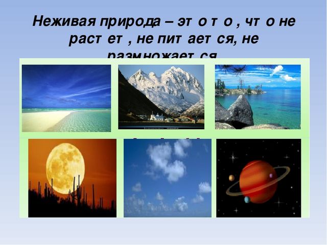Презентация по познавательному развитию на тему "Живая и неживая природа"