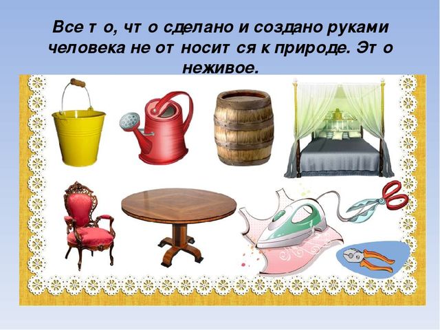 Презентация по познавательному развитию на тему "Живая и неживая природа"