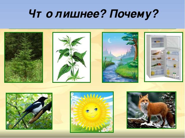 Презентация по познавательному развитию на тему "Живая и неживая природа"