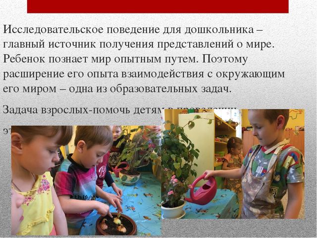 Презентация "Детское экспериментирование В ДОУ"
