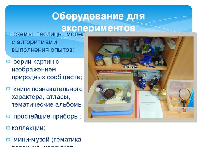 Презентация через проектирование "Организация исследовательской деятельности в старшей группе"