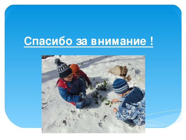 Презентация через проектирование "Организация исследовательской деятельности в старшей группе"