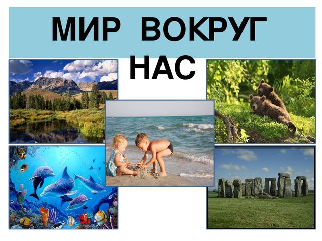 Презентация "Мир вокруг нас"