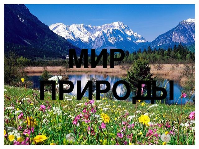 Презентация "Мир вокруг нас"