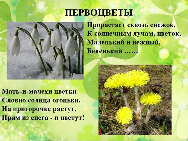 Презентация к занятию по ознакомлению с окружающим миром "Весна"