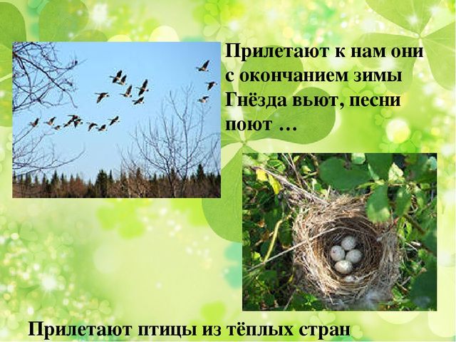 Презентация к занятию по ознакомлению с окружающим миром "Весна"