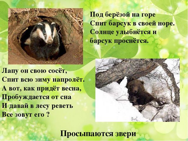 Презентация к занятию по ознакомлению с окружающим миром "Весна"
