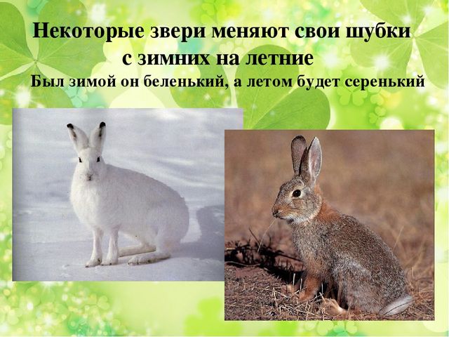 Презентация к занятию по ознакомлению с окружающим миром "Весна"
