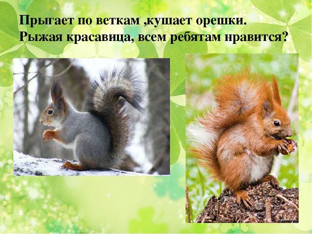 Презентация к занятию по ознакомлению с окружающим миром "Весна"