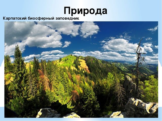 Презентация на тему "Национальность-Украинцы "