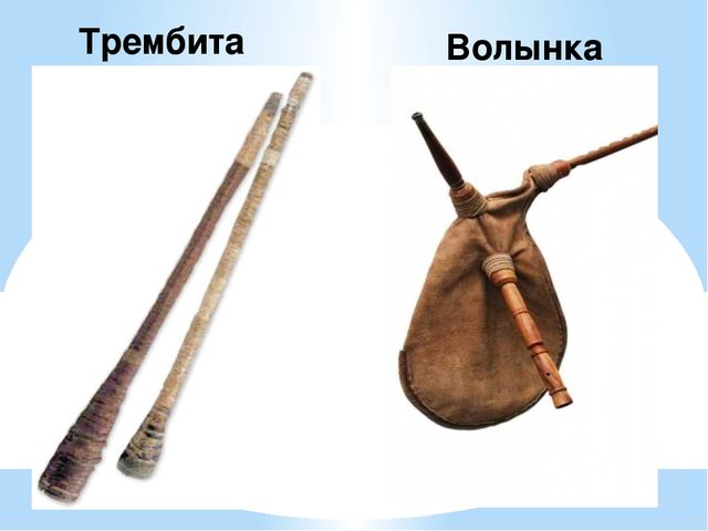 Презентация на тему "Национальность-Украинцы "