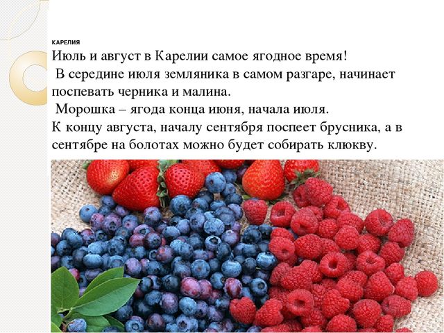 Какие ягоды собирали в рассказе конь. Сезонные ягоды. Презентация на тему Карельские ягоды. Какие ягоды в июне. Сообщение на тему ягоды.