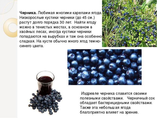 Презентация на тему "Ягода Карелии"