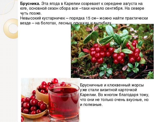Презентация на тему "Ягода Карелии"