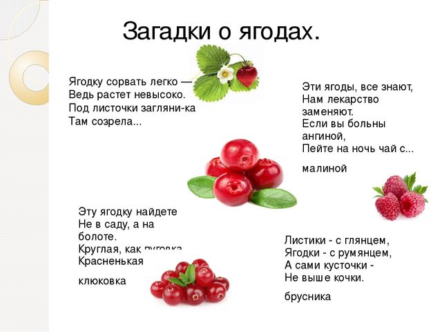 Презентация на тему "Ягода Карелии"