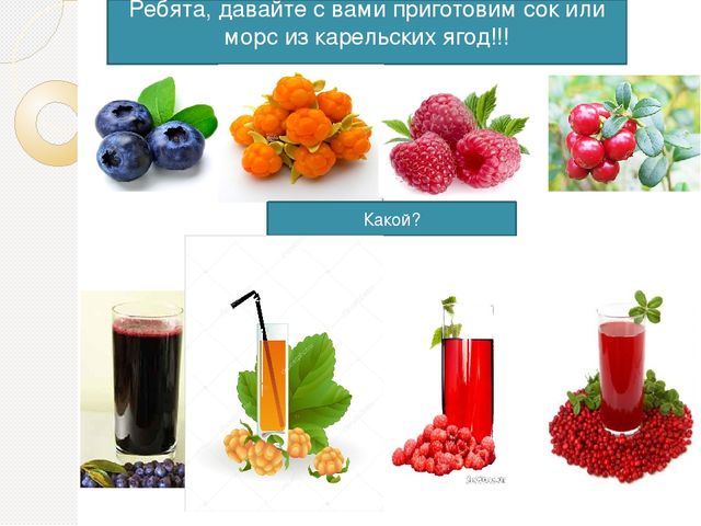 Презентация на тему "Ягода Карелии"