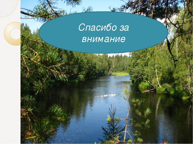 Презентация на тему "Ягода Карелии"