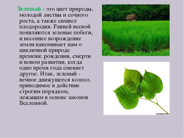 Презентация по самопознанию "Цветотерапия для детей"