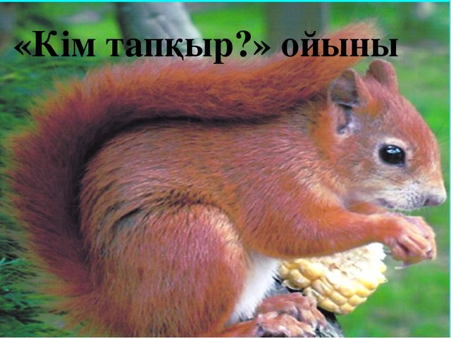 Презентация по тему "Х дыбысы мен әрпі"