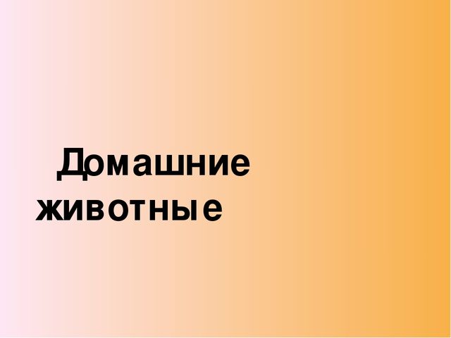Презентация ОД по познавательному развитию в младшей группе "Домашние животные".