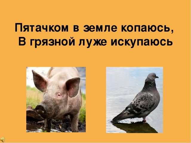 Презентация ОД по познавательному развитию в младшей группе "Домашние животные".