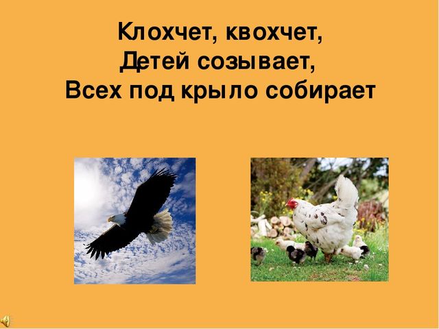 Презентация ОД по познавательному развитию в младшей группе "Домашние животные".