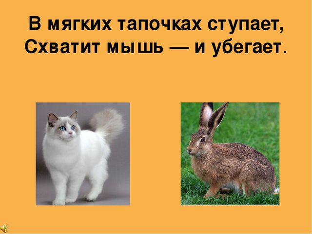 Презентация ОД по познавательному развитию в младшей группе "Домашние животные".