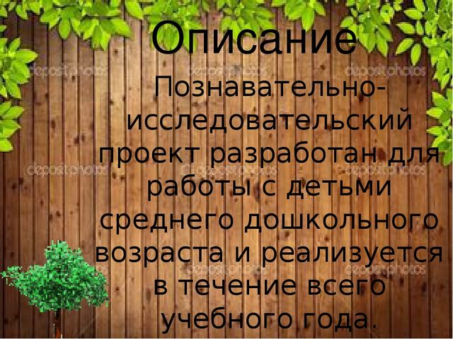 Познавательно-исследовательский проект "Деревья - наши друзья"