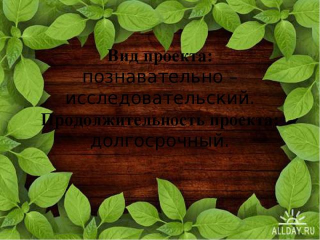 Познавательно-исследовательский проект "Деревья - наши друзья"