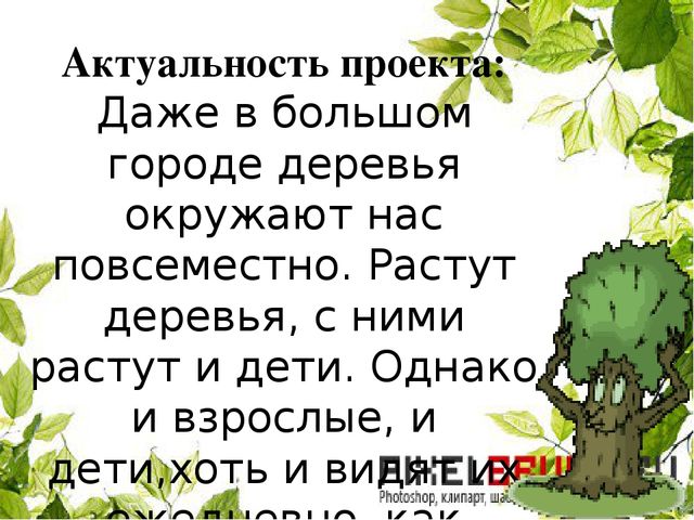 Познавательно-исследовательский проект "Деревья - наши друзья"