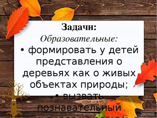 Познавательно-исследовательский проект "Деревья - наши друзья"