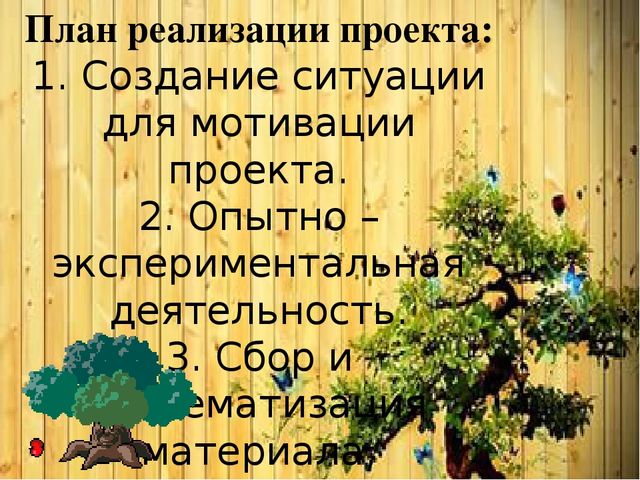 Познавательно-исследовательский проект "Деревья - наши друзья"