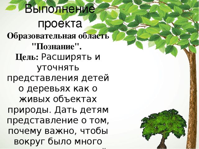 Дерево проекта. Деревья для проекта. Деревья наши друзья проект. Беседа деревья наши друзья. Деревья наши друзья актуальность.