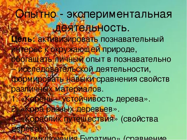 Познавательно-исследовательский проект "Деревья - наши друзья"