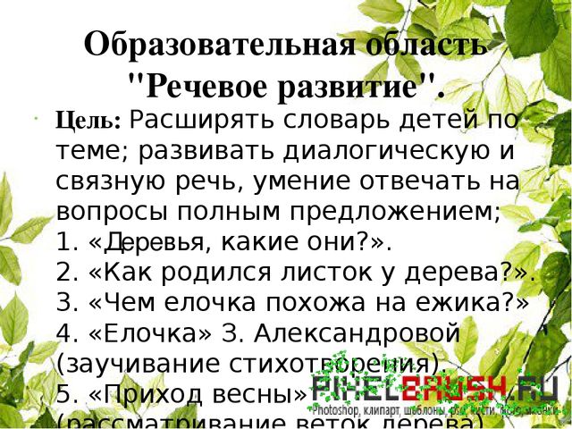 Познавательно-исследовательский проект "Деревья - наши друзья"