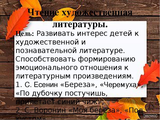 Познавательно-исследовательский проект "Деревья - наши друзья"