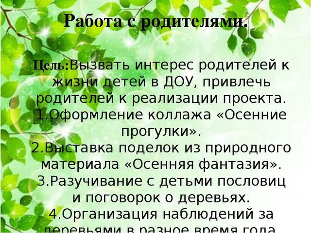 Познавательно-исследовательский проект "Деревья - наши друзья"