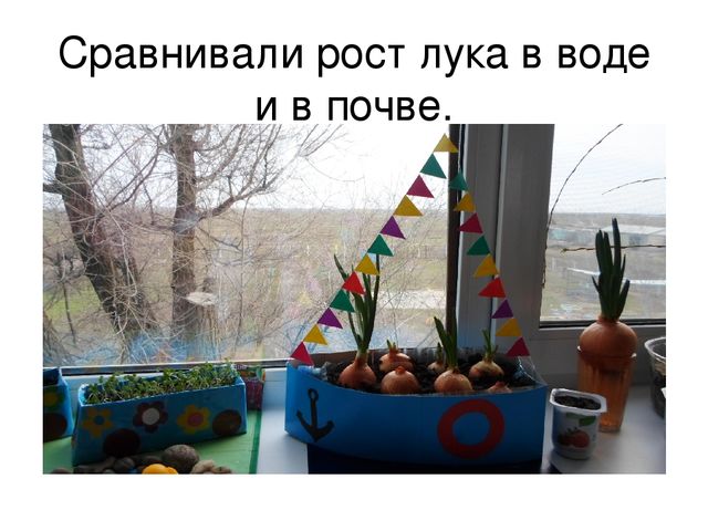 "Опытно-экспериментальная деятельность в детском саду"