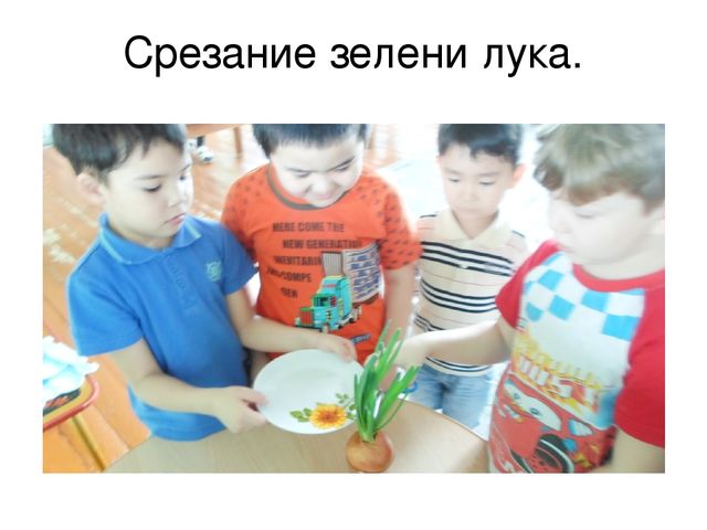 "Опытно-экспериментальная деятельность в детском саду"