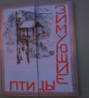 Picture 1