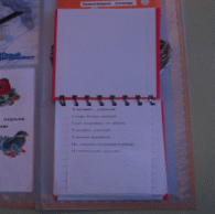 Picture 6