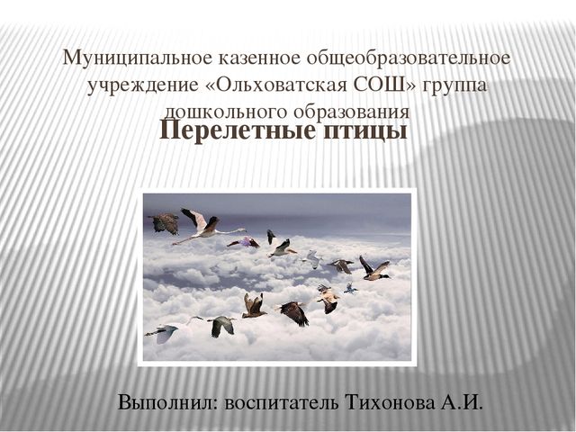 Презентация на тему "Перелетные птицы".