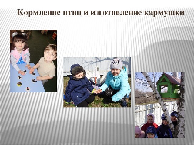 Презентация на тему "Перелетные птицы".