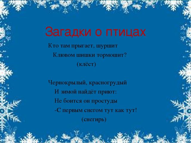 Презентация по экологии на тему"Зимующие птицы"(старшая группа).