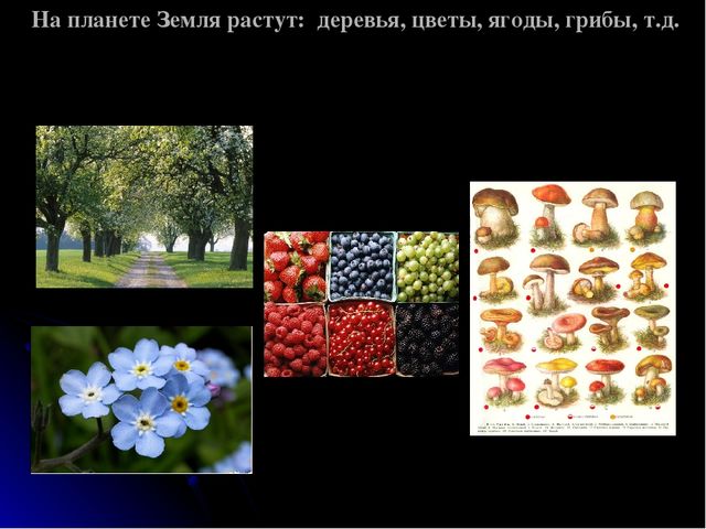 Презентация на тему "Космос детям"