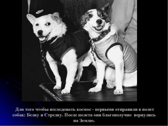 Презентация на тему "Космос детям"