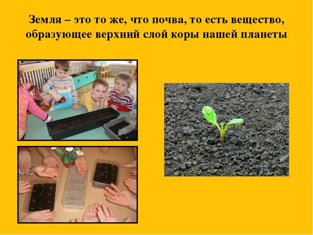Презентация событий из жизни группы на тему "Грядка на окне"