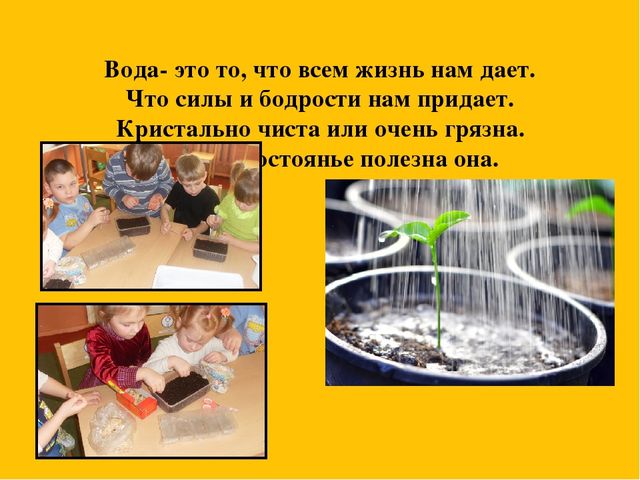 Презентация событий из жизни группы на тему "Грядка на окне"