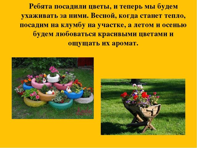 Презентация событий из жизни группы на тему "Грядка на окне"