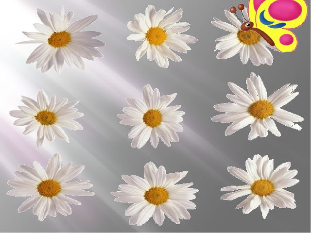 Презентация «Использование здоровьесберегающих технологий, как средство предупреждения учебных перегрузок воспитанников»